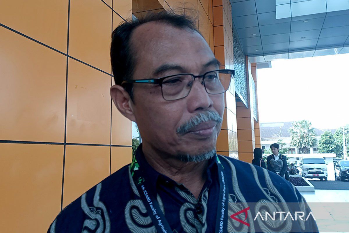 Pakar:  Pembangunan infrastruktur pertanian dukung swasembada pangan