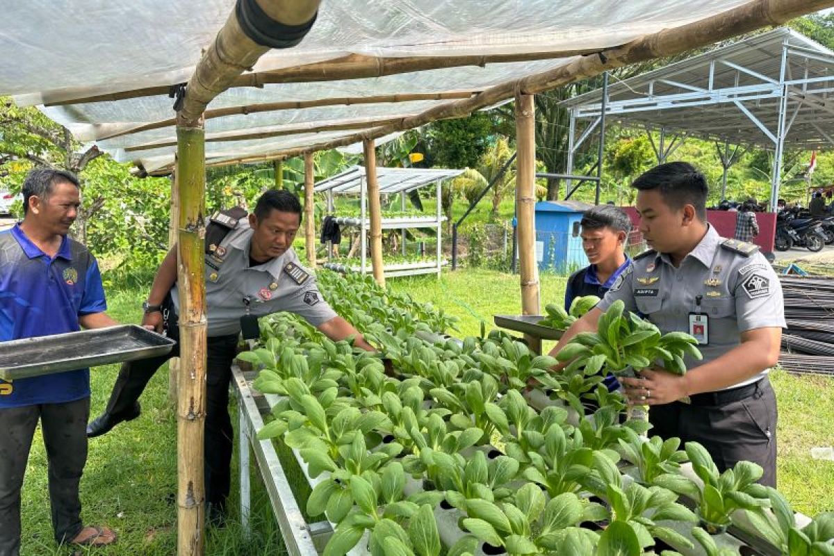 Lapas Tarakan Mendukung Ketahanan Pangan Dengan Program Pemberdayaan WBP