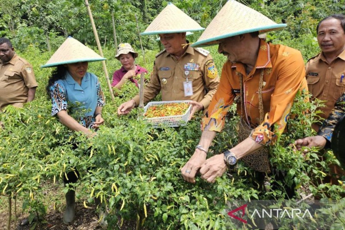 Pemprov Papua minta warga membuat pekarangan pangan bergizi