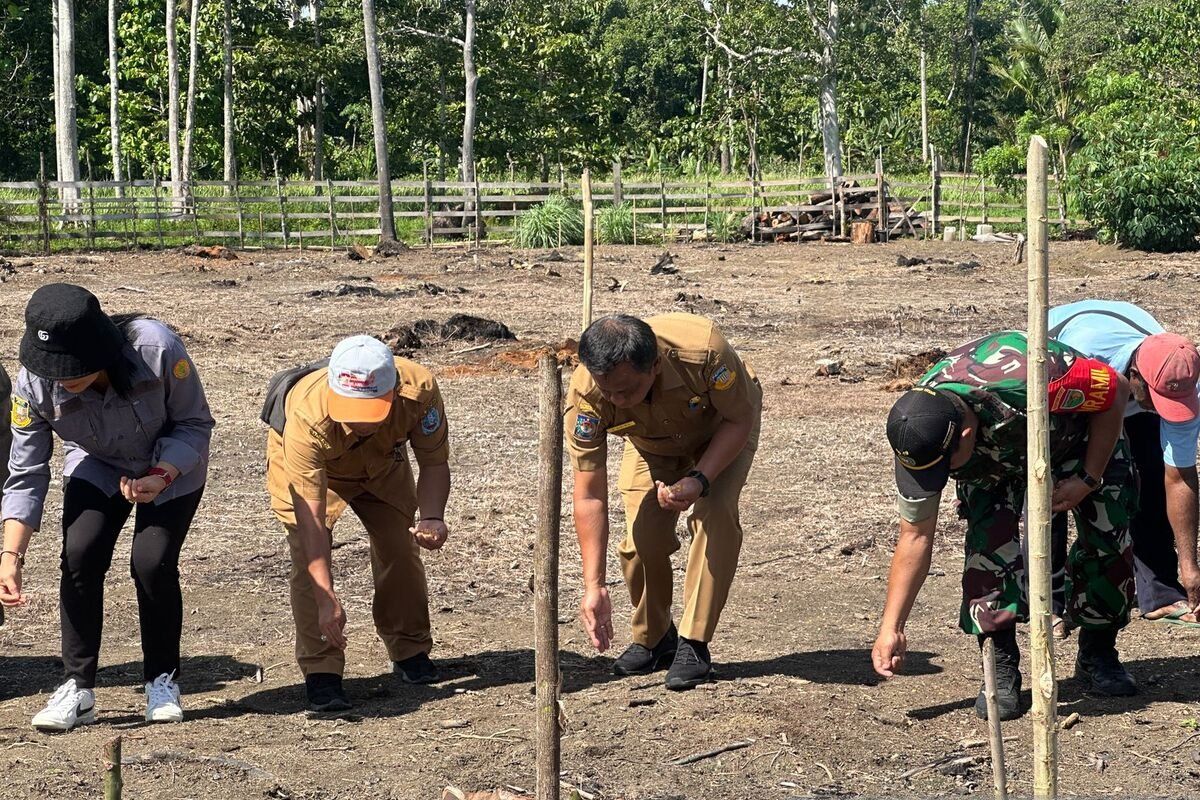 Pemkab Jayapura dan masyarakat adat kolaborasi dukung program food estate