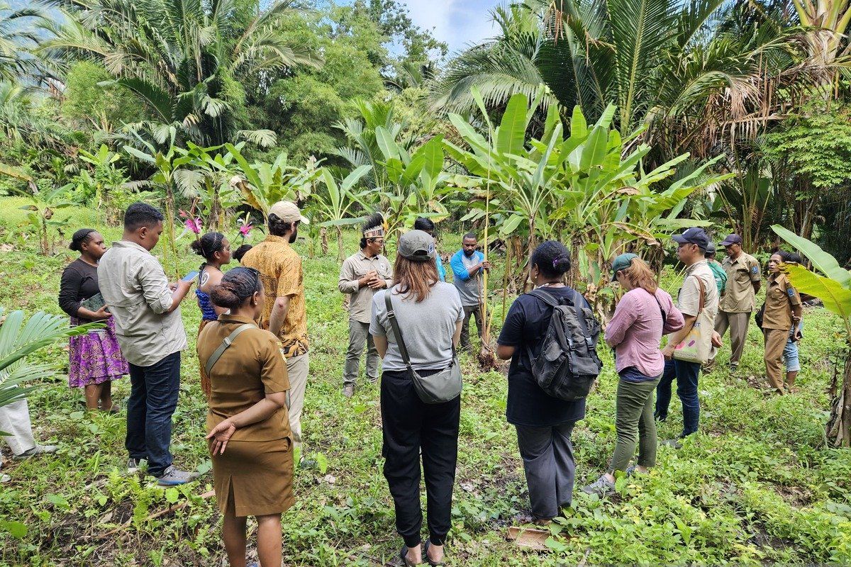 WWF Indonesia-masyarakat adat Sereh bersinergi menjaga pangan lokal Papua