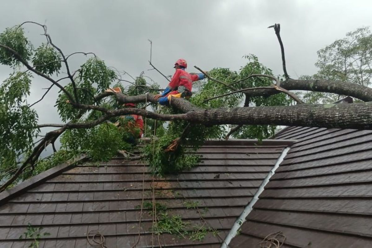 BPBD Sleman mengimbau masyarakat waspadai potensi bencana hidrometeorologi