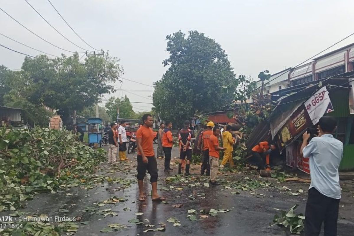 Tujuh pohon tumbang di Mataram akibat cuaca ekstrem