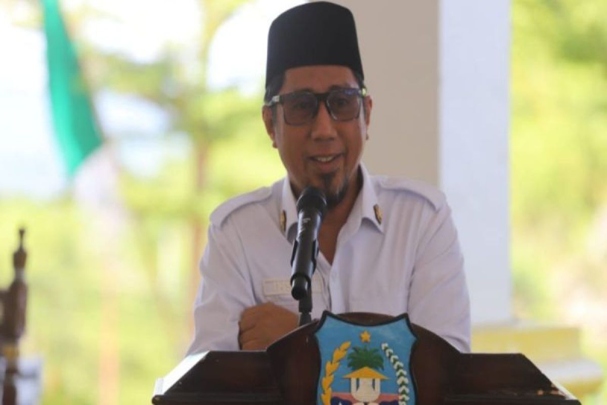 Pemkab Bangkep harap PLN secepatnya atasi masalah kelistrikan