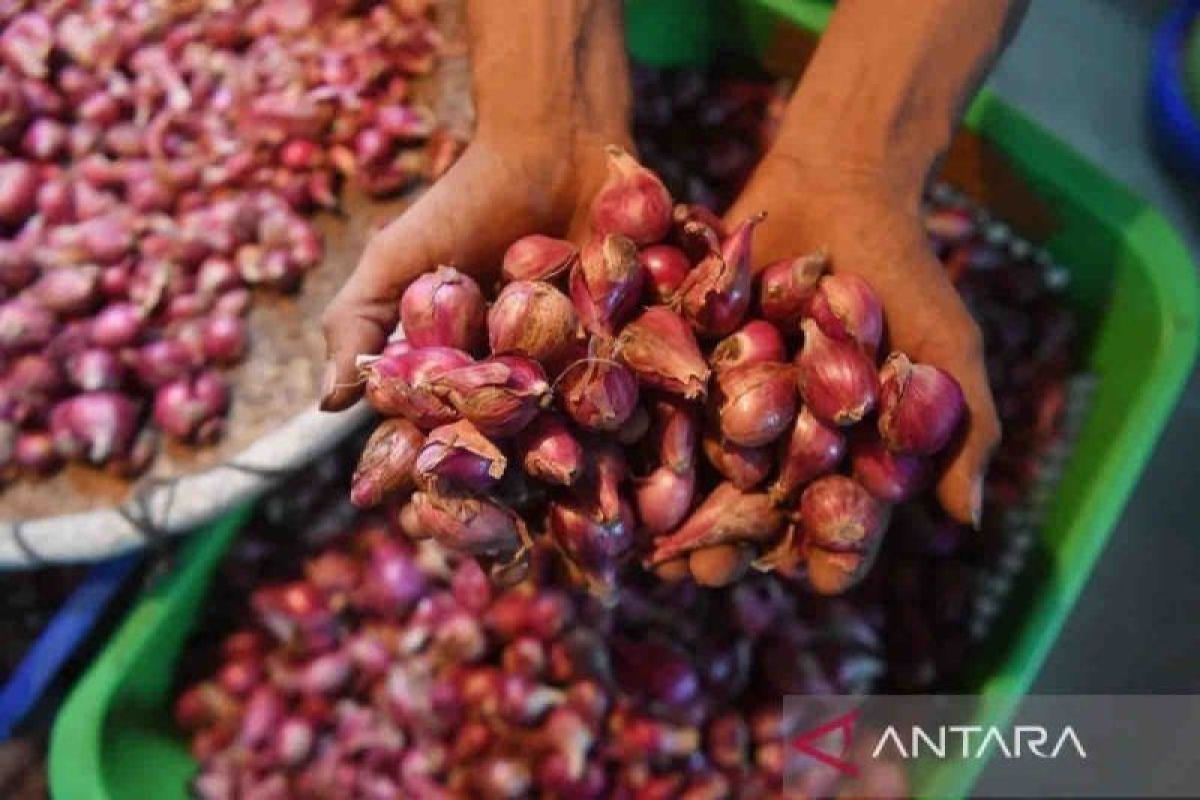 Harga pangan, bawang merah naik menjadi Rp37.410 per kg