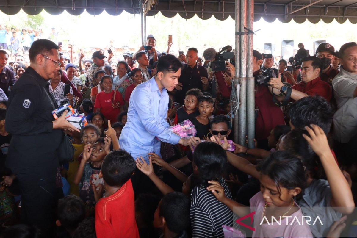 Wapres tekankan dialog dalam relokasi warga terdampak erupsi Gunung Lewotobi