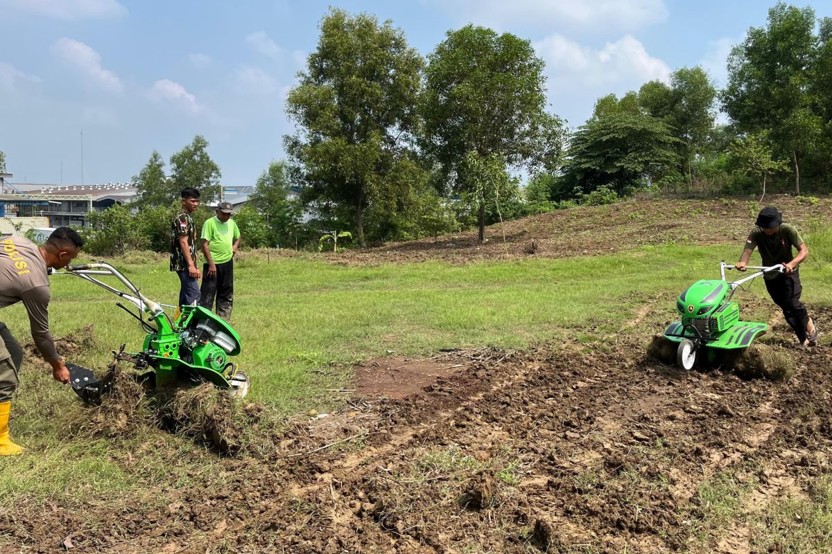 Dukung ketahanan pangan,  Brimob hidupkan lahan tidur dengan jagung