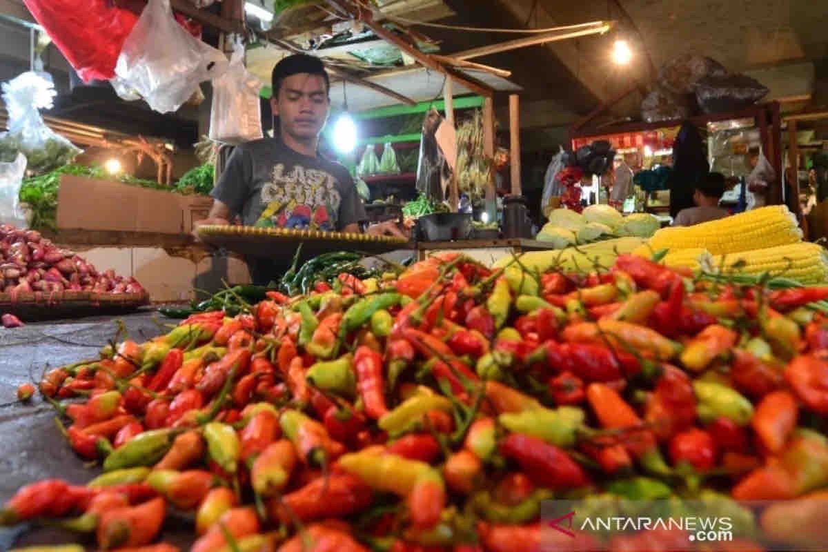 Harga cabai rawit merah capai Rp40.430 per kg