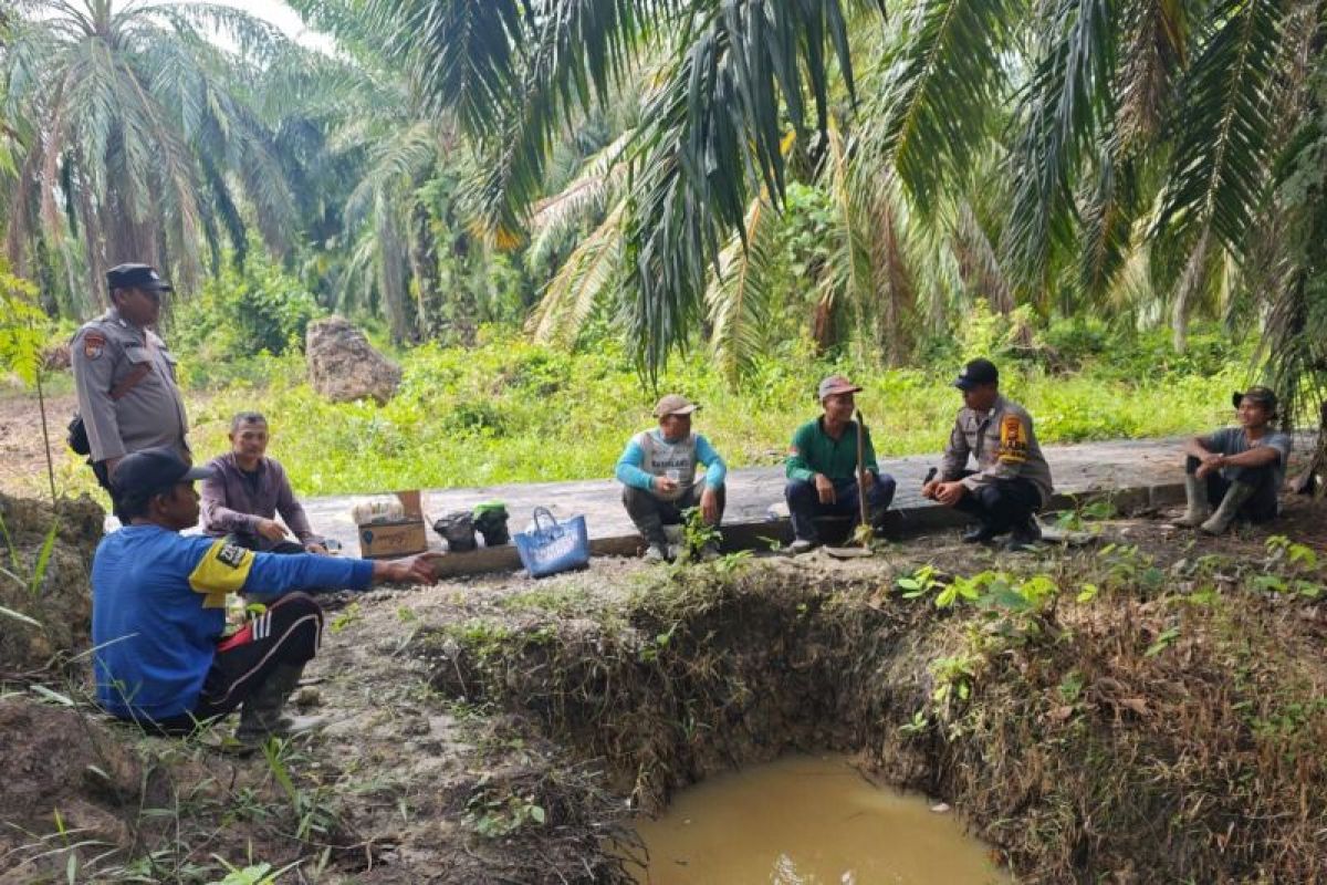 Petani sawit diminta berkontribusi ciptakan pilkada damai di Siak Kecil