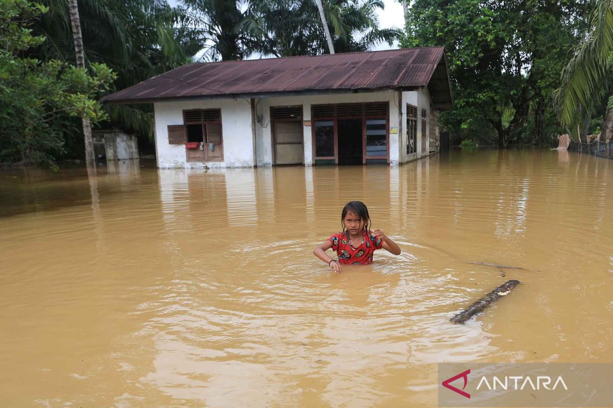 Luapan Sungai Krueng Woyla mengakibatkan puluhan rumah tergenang banjir di Aceh Barat