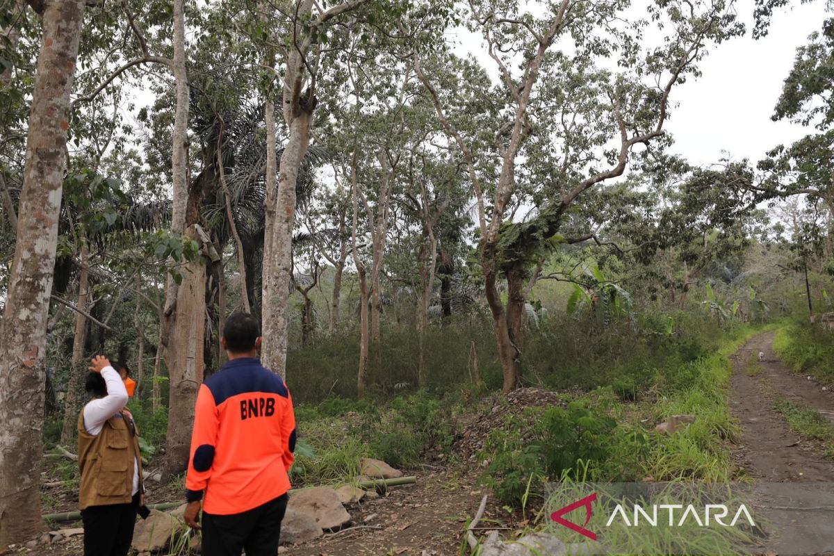 BNPB merencanakan relokasi enam desa di Flores Timur-NTT