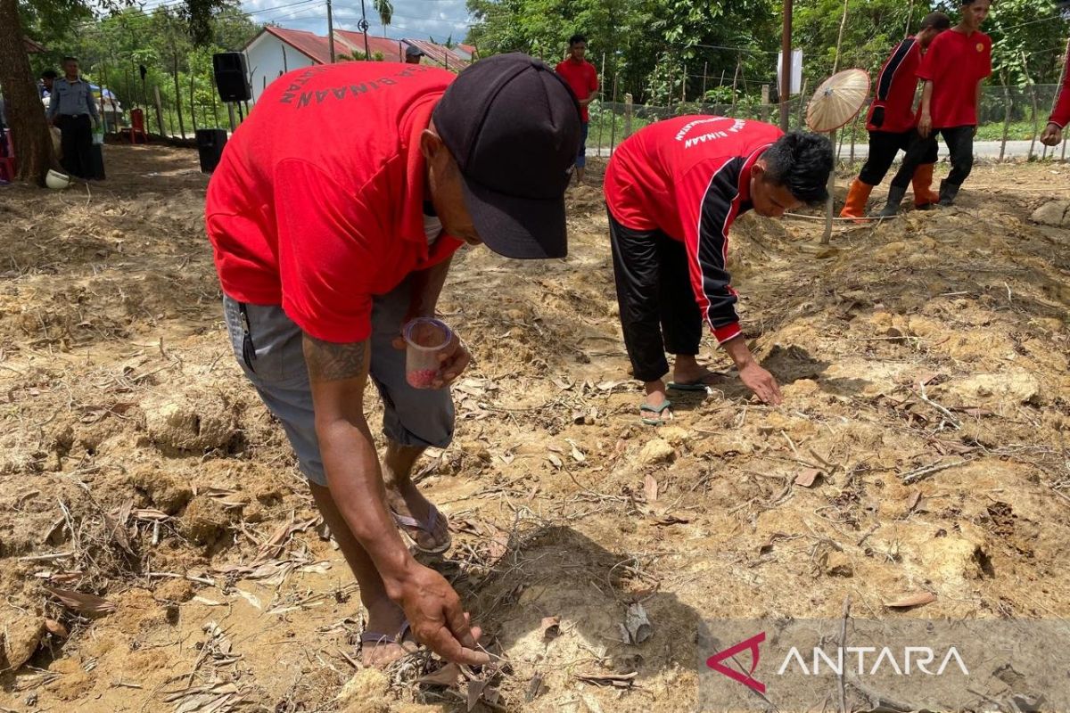 Lapas Kendari tanam komoditi jagung dukung Asta Cita Presiden