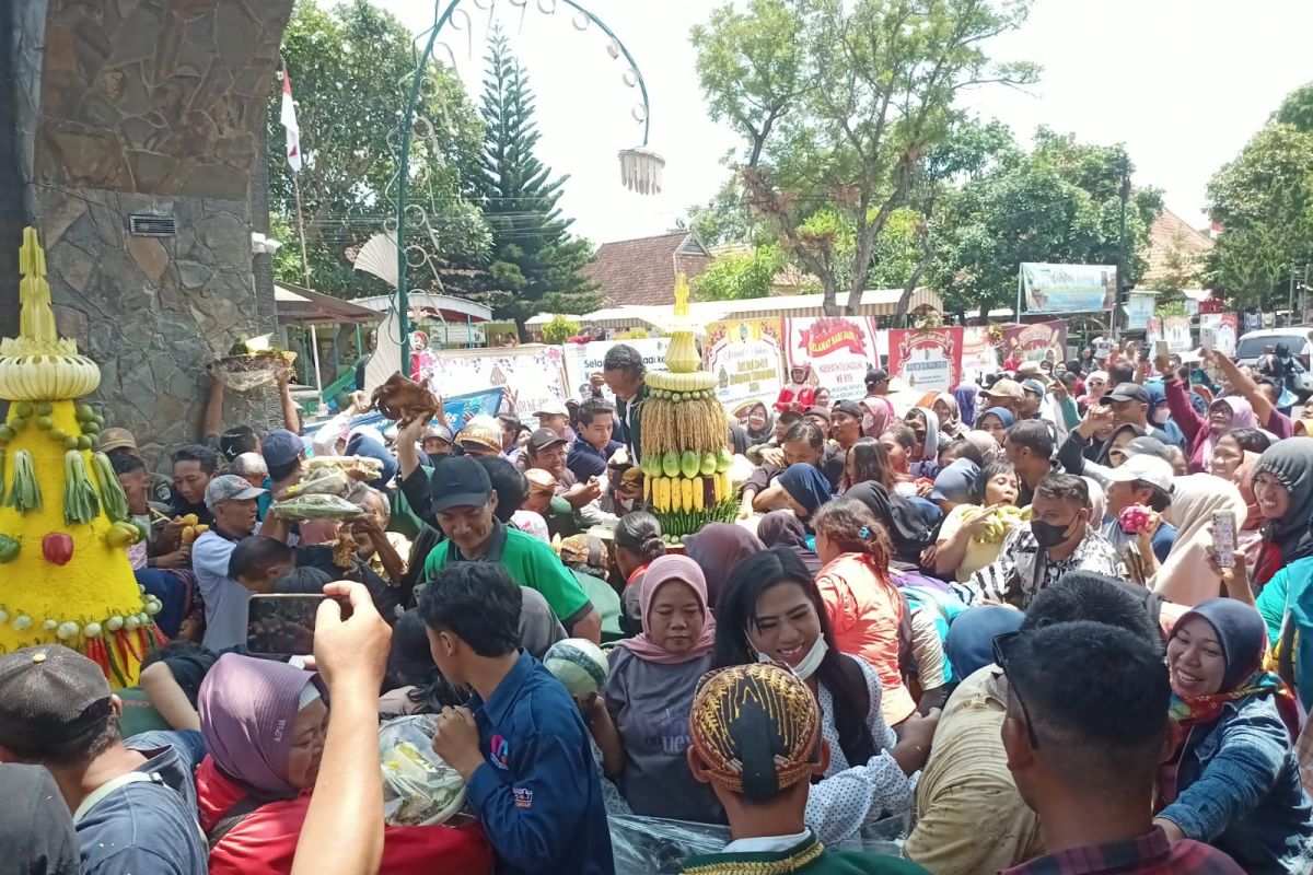 Tradisi rebutan tumpeng warnai Hari Jadi ke-819 Tulungagung