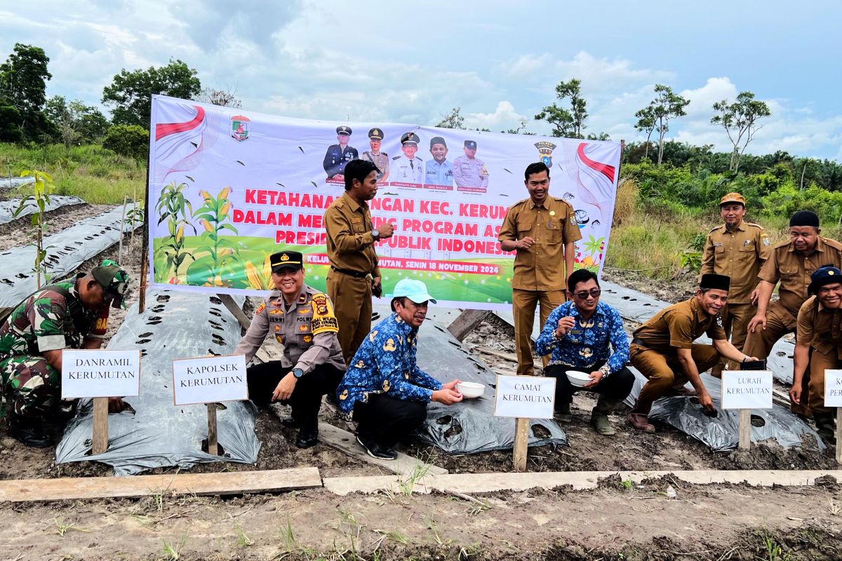 Dukung Asta Cita Presiden, Polsek Kerumutan dan Forkompimcam tanam jagung