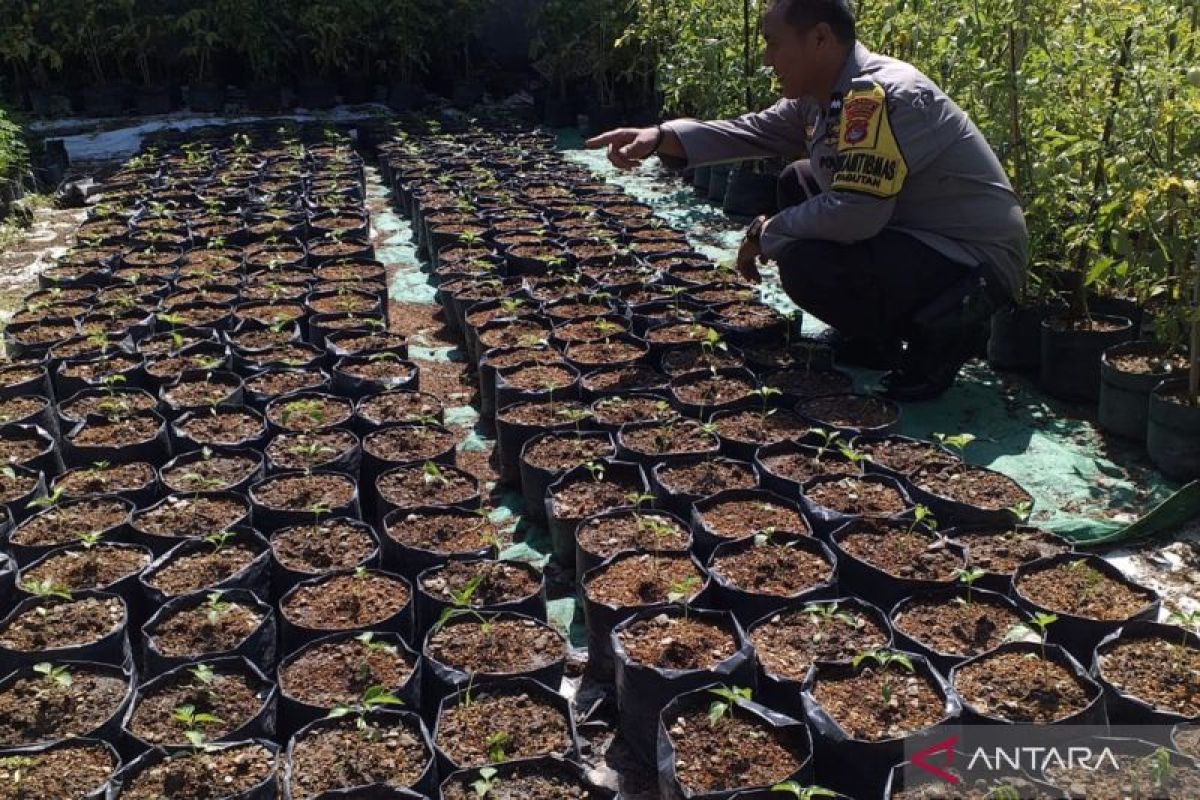 Polisi di Mataram dorong kelompok tani tetap produktif