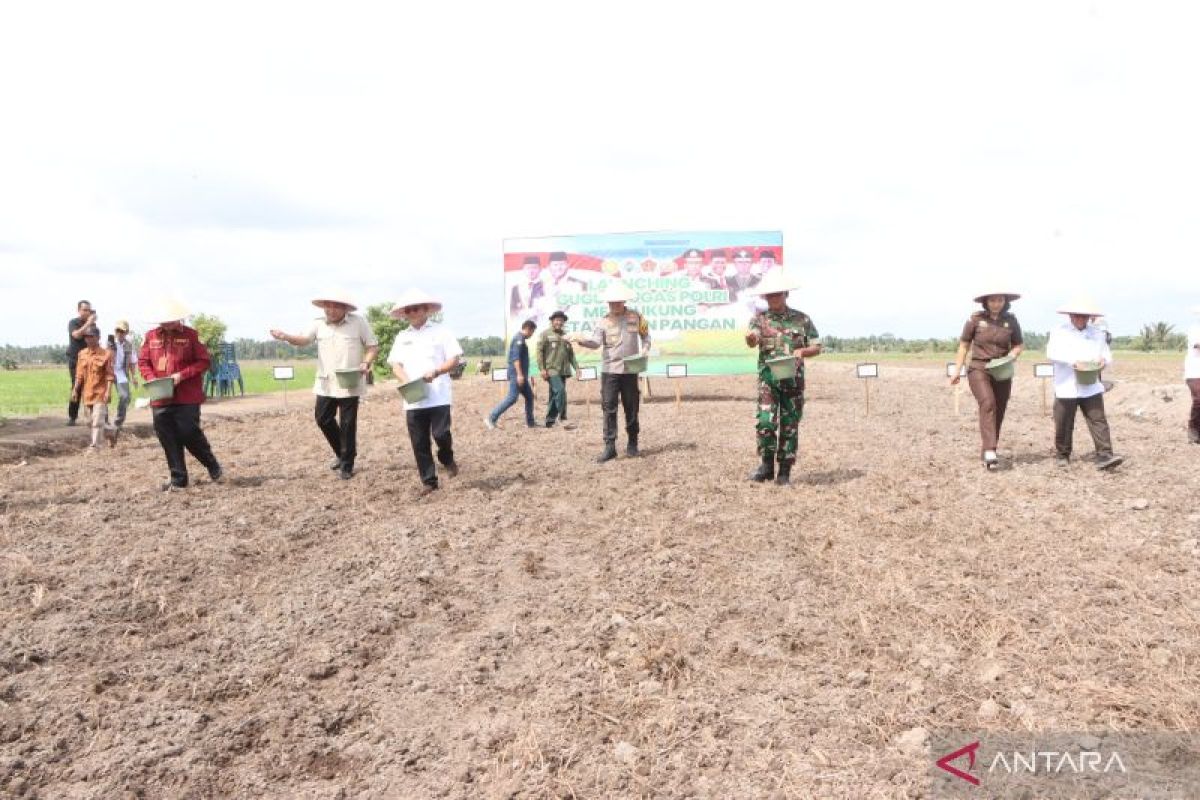 Polres Banyuasin tebar benih  padi di lahan seluas 11 hektare