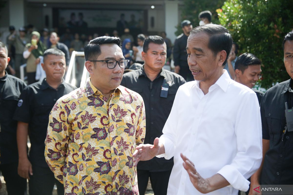 Jokowi telah bisikkan Pujakesuma untuk dukung pasangan RIDO 