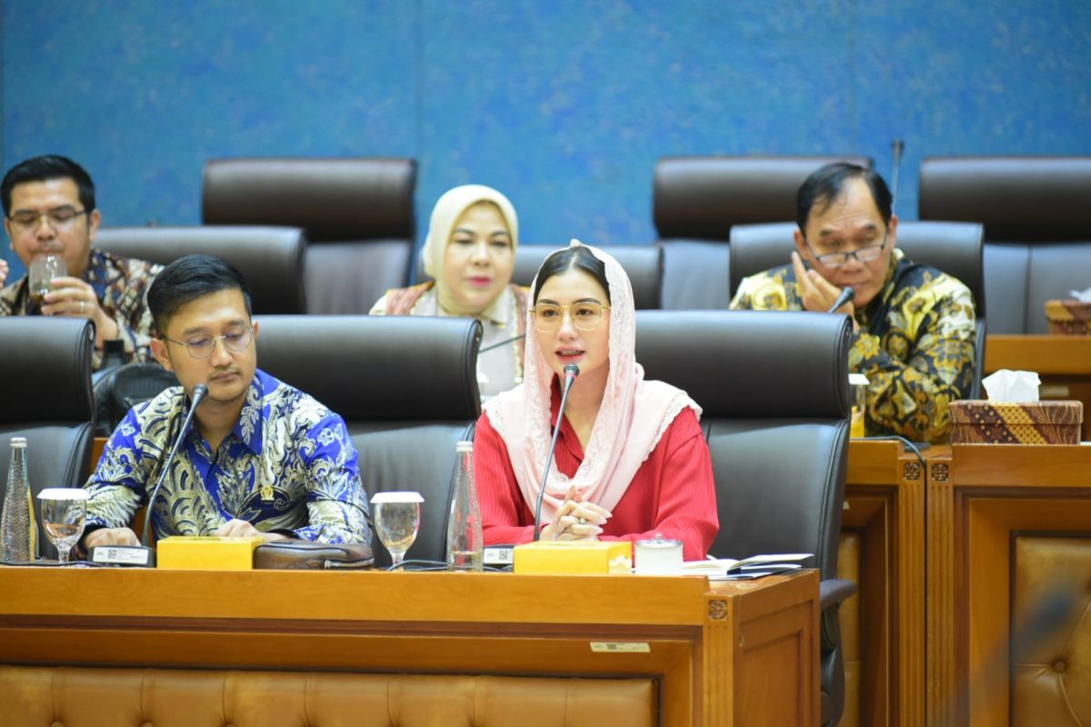 Komisi VII DPR : Minta penghapusan DAK pariwisata ditimbang lagi