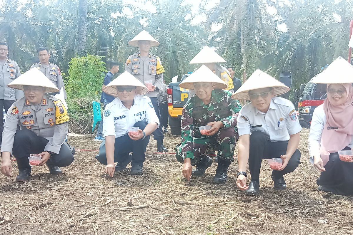 Polres Pasaman Barat gelar tanam jagung upaya jaga ketahanan pangan