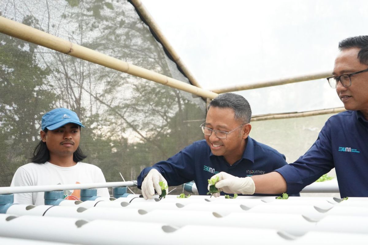 ITDC beri pelatihan hidroponik bagi warga di Mandalika Lombok