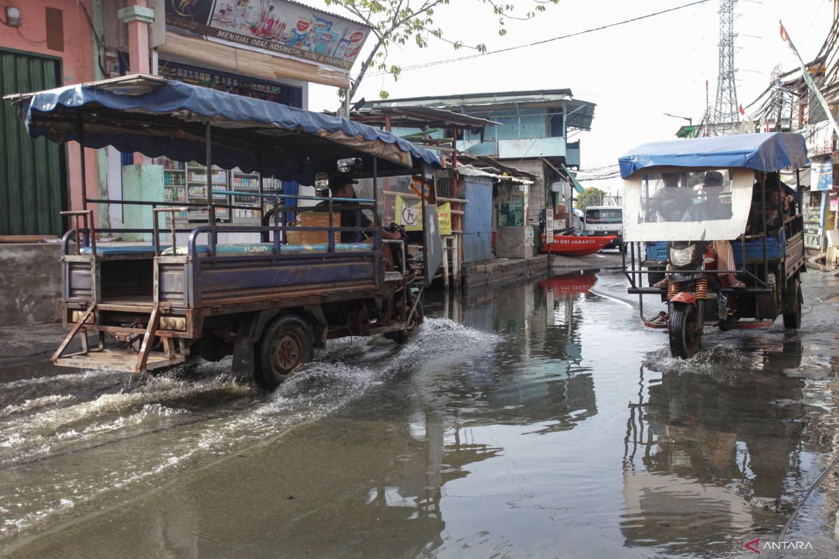 Satu RT di Pluit Penjaringan masih terendam banjir rob