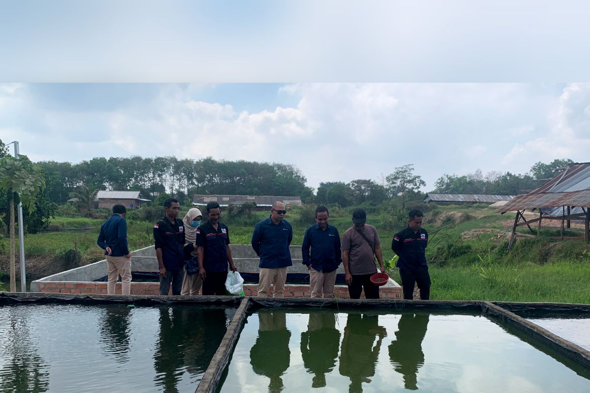 Berdayakan masyarakat, Bukit Asam sulap lahan tidak produktif di Sukamoro