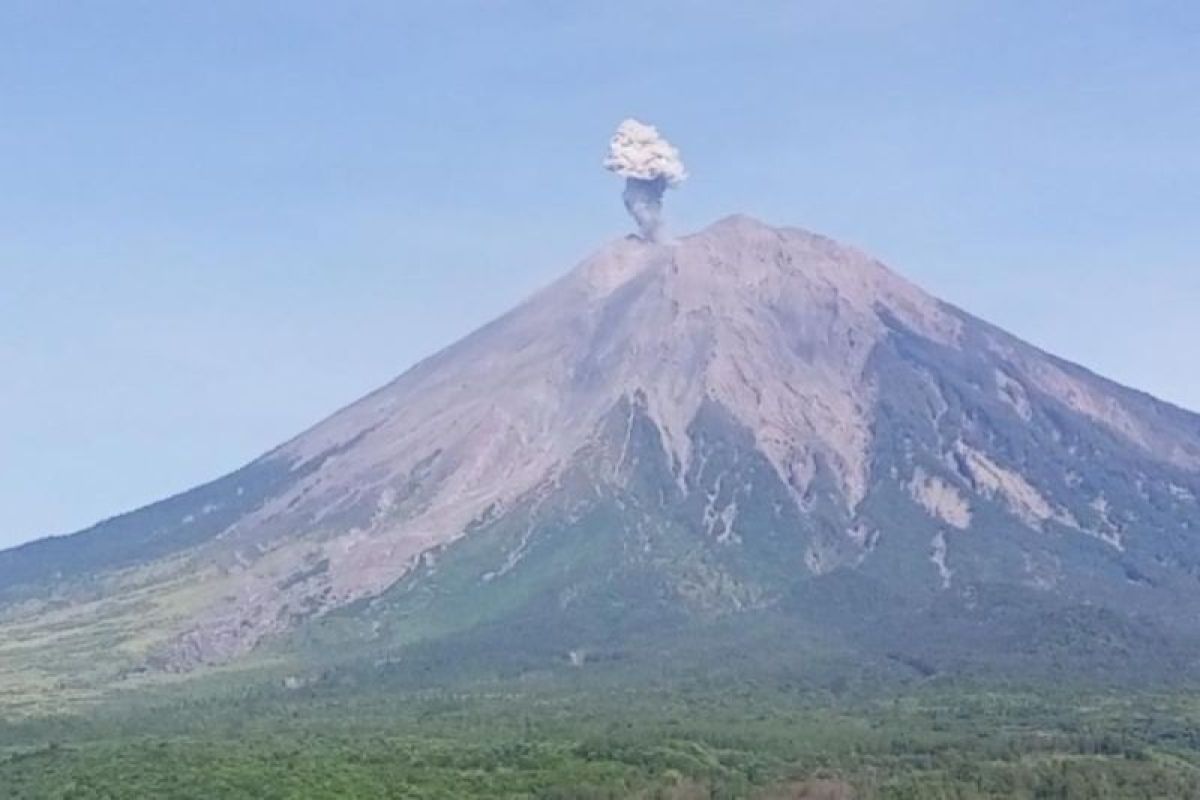 Gunung Semeru kembali erupsi dengan kolom letusan setinggi 800 meter