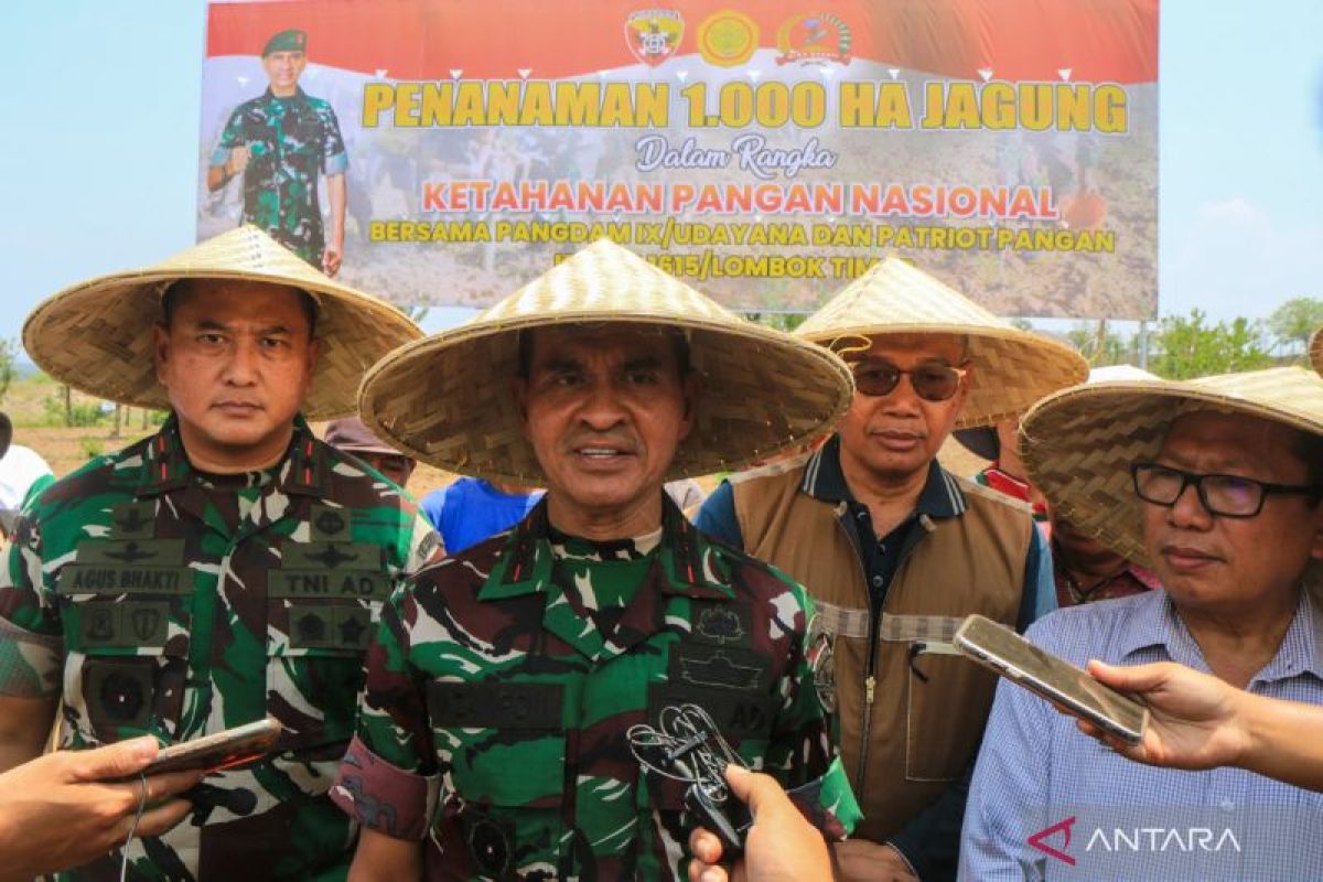 TNI AD Lombok Timur tanam benih jagung di lahan 1.000 hektare