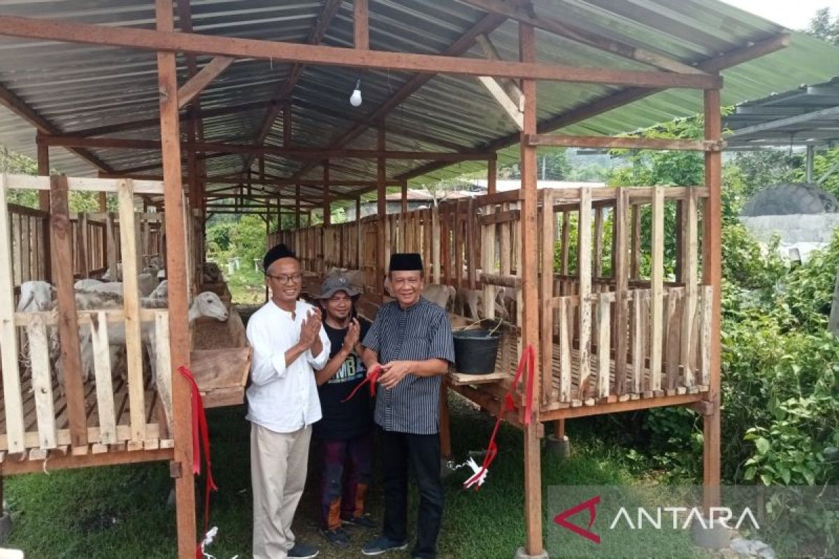 Produksi kambing di Bantul belum cukupi kebutuhan pedagang kuliner