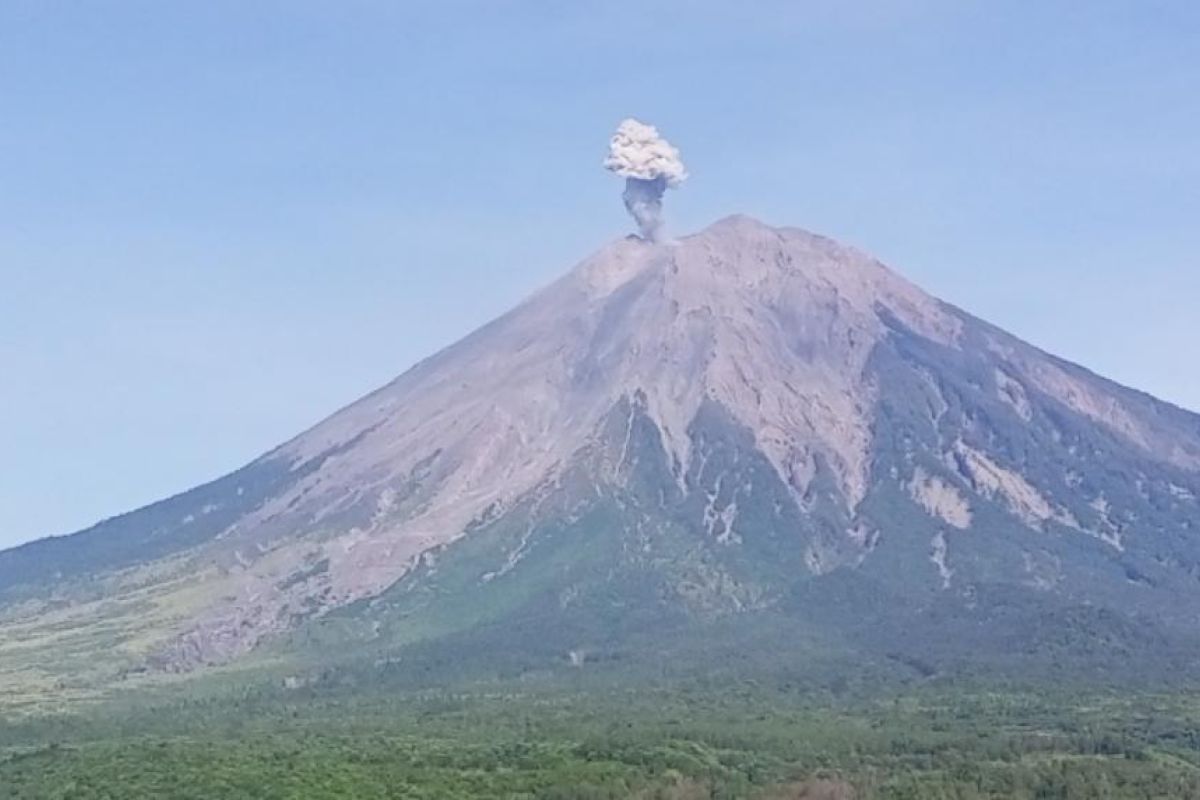 Gunung Semeru alami dua kali erupsi pada Sabtu pagi