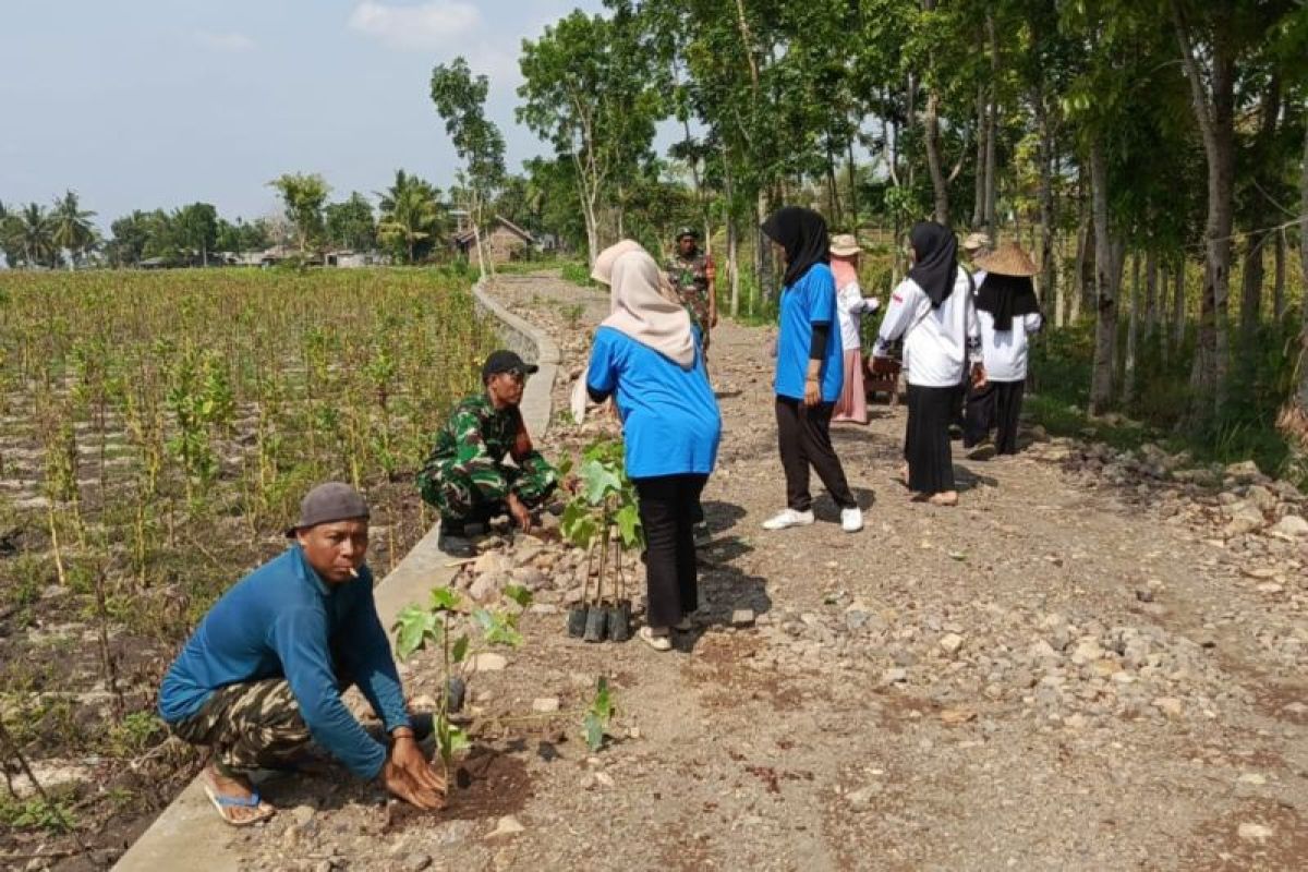 Babinsa dan mahasiswa tanam ribuan pohon di Lombok Tengah