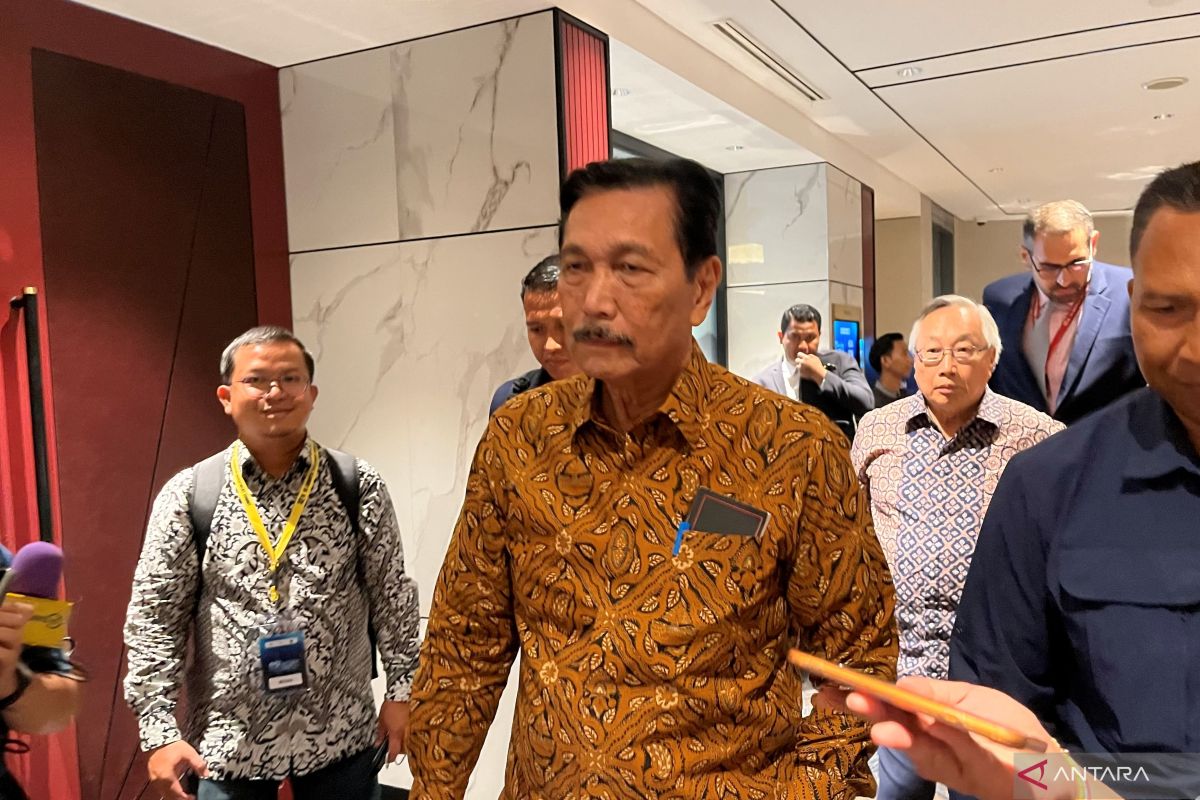 Luhut: Kenaikan PPN 12 persen pada 2025 hampir pasti diundur