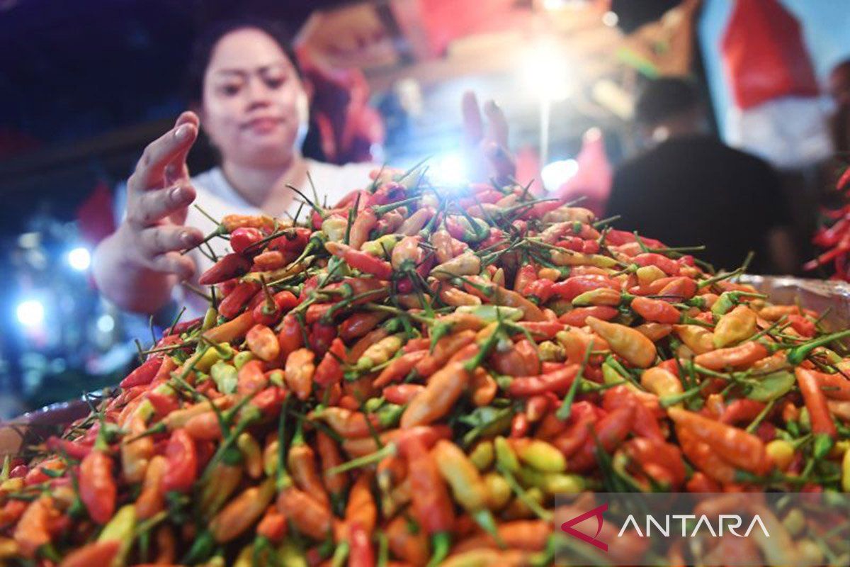 Harga cabai rawit merah capai Rp39.520 per kg di akhir November