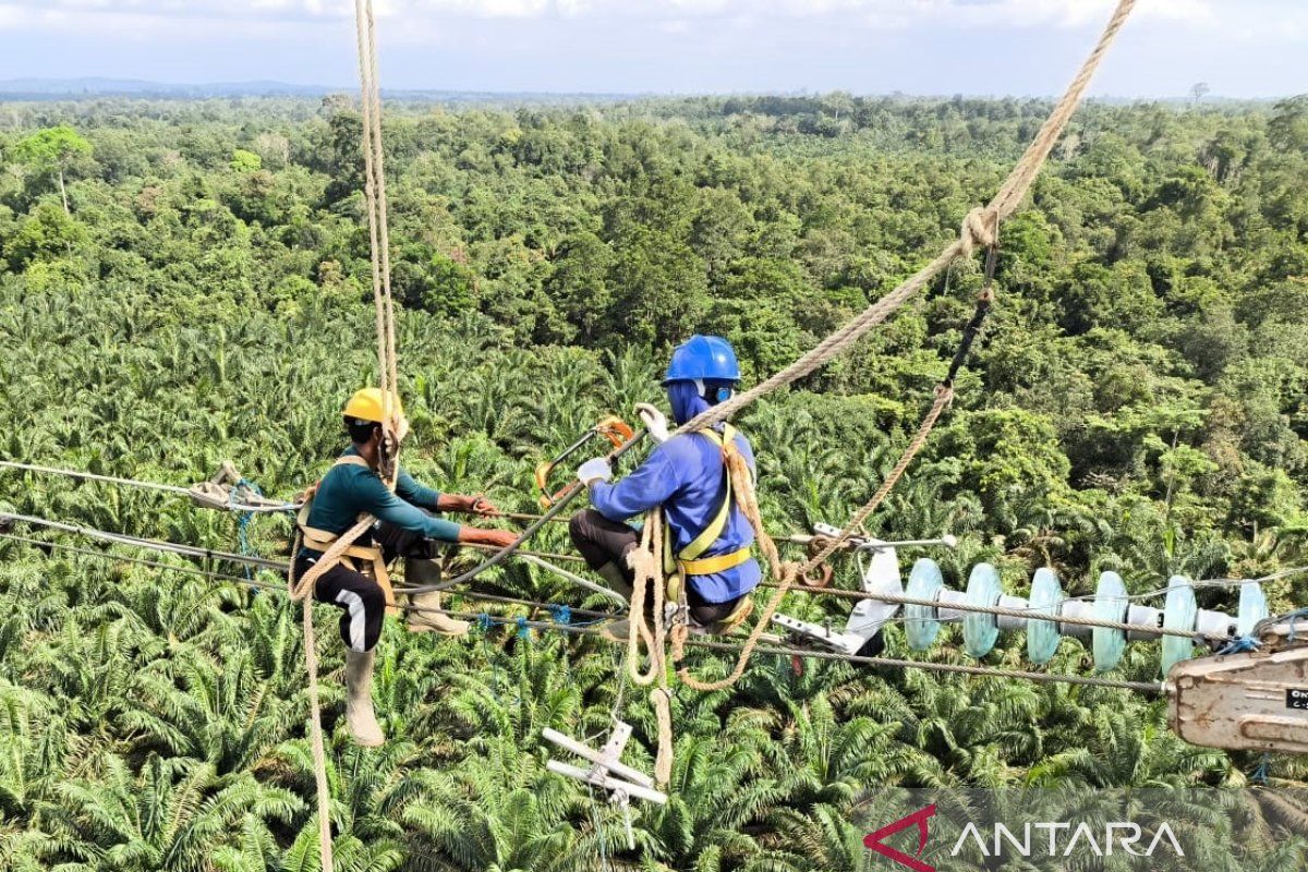 PLN tuntaskan pembangunan SUTT 150 kV Kendawangan-Sukamara