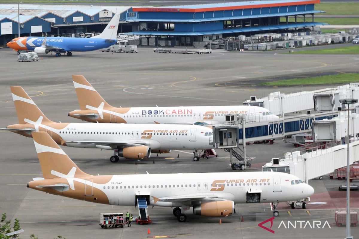 Drop in airfares widens space for Indonesia's inclusive travel