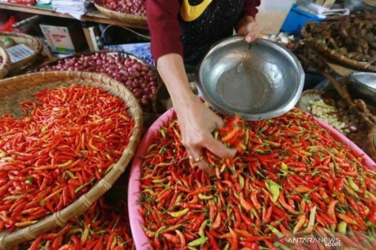 Harga pangan Jumat, cabai rawit naik jadi Rp40.490 per kg