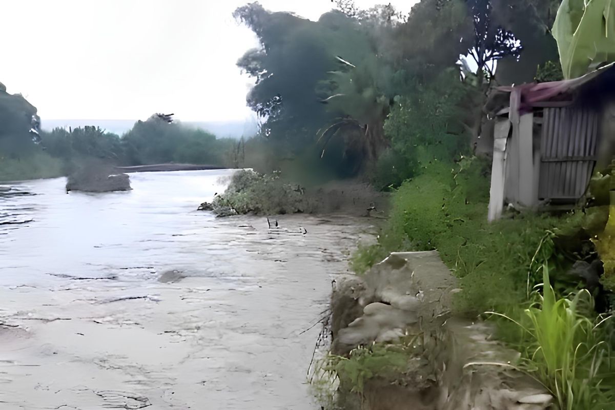 Sebanyak 207 unit rumah warga terendam banjir di Poso