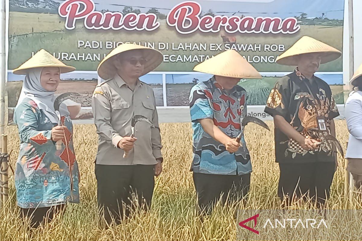 Pemkot  Pekalongan-BI manfaatkan lahan rob dukung program makan gratis