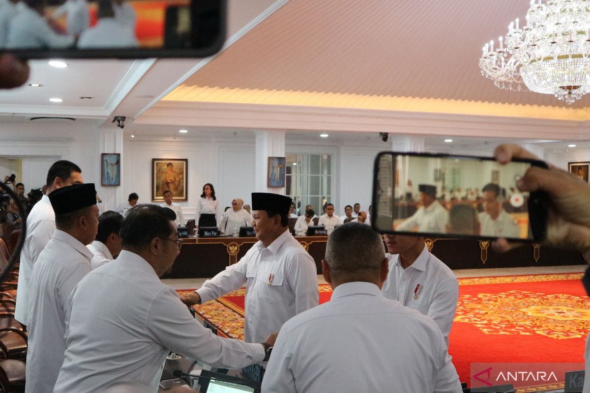 Presiden minta penurunan tiket pesawat 10 persen tak rugikan industri