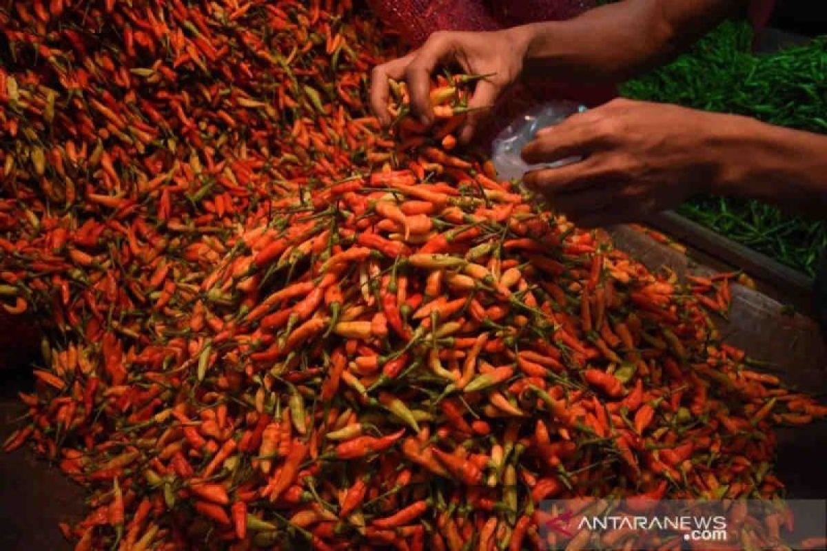 Harga pangan di Senin, cabai rawit naik Rp3.940 per kg