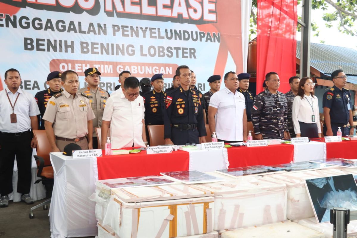 Satgas illegal fishing gagalkan penyelundupan 715 ribu benih bening lobster