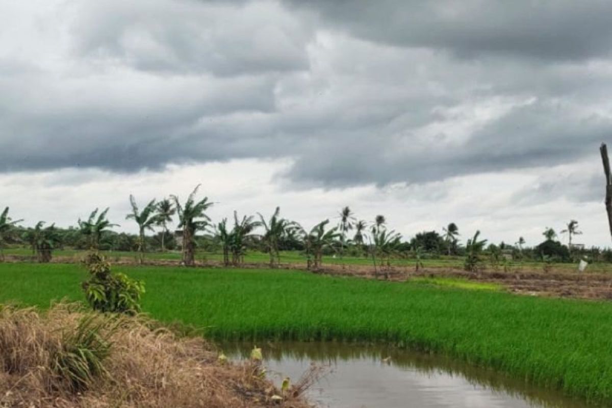 Pemkab Sukamara tingkatkan pertanian lewat bantuan Alsintan dan pengawasan terpadu