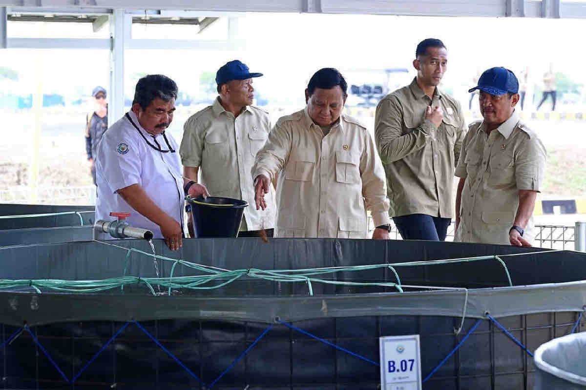 KKP siapkan panen siklus kedua BINS di Karawang dukung makan bergizi gratis