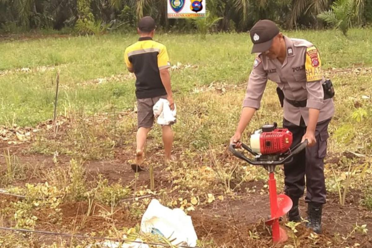 Polres Pasaman Barat beri semangat dan pendampingan bagi petani talas