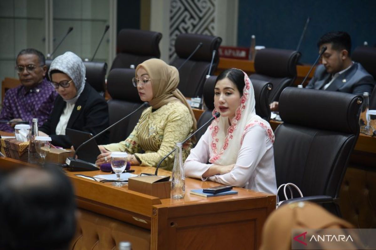 DPR minta pemerintah bangun program komunal untuk pasarkan produk UMKM