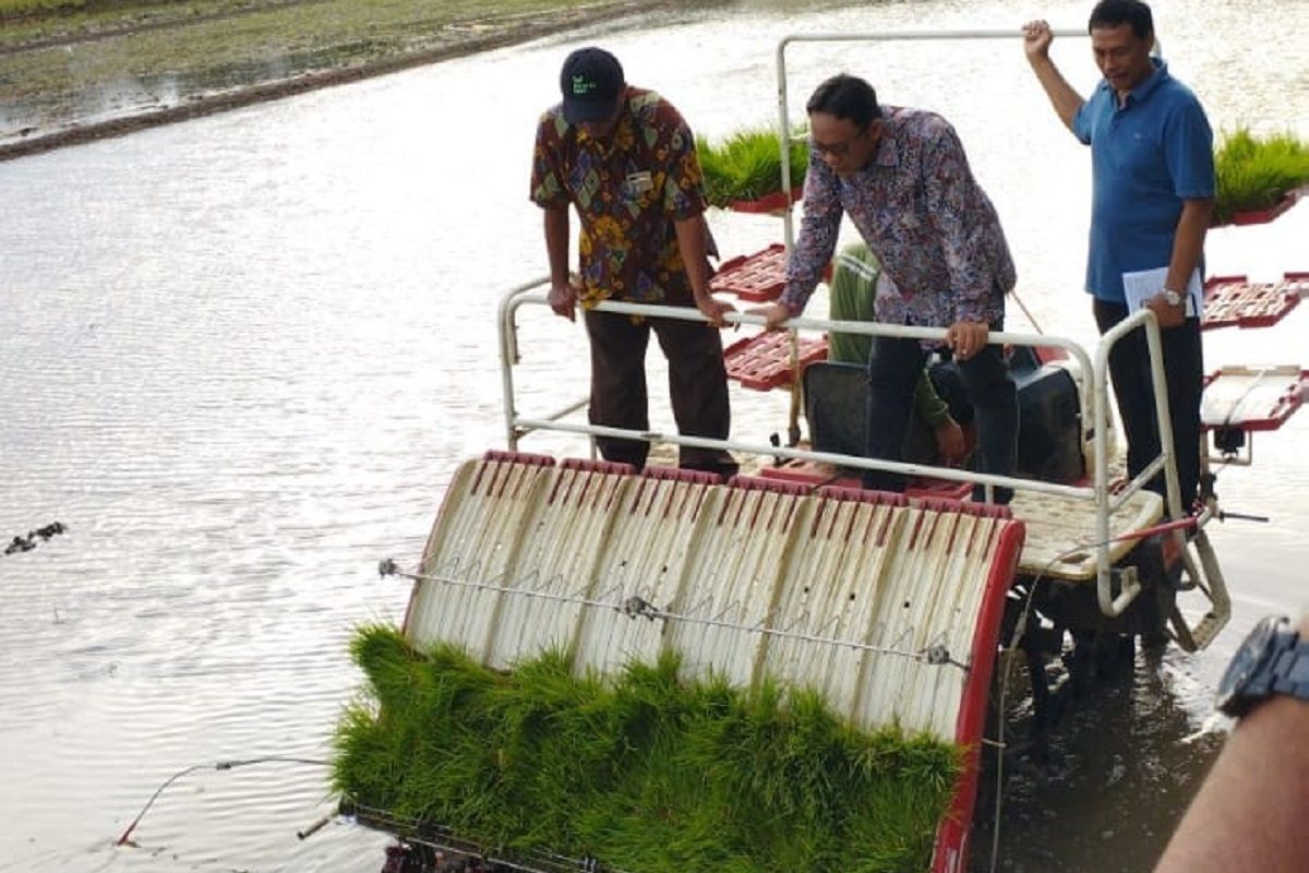 Pemkab Kudus salurkan alsintan pada 11 kelompok tani