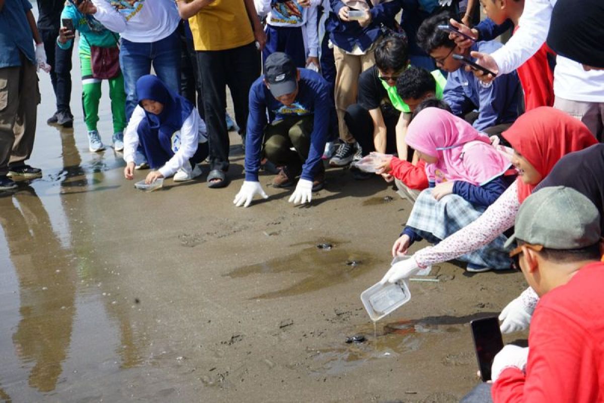 Kilang Cilacap melepasliarkan penyu di Pantai Teluk Penyu