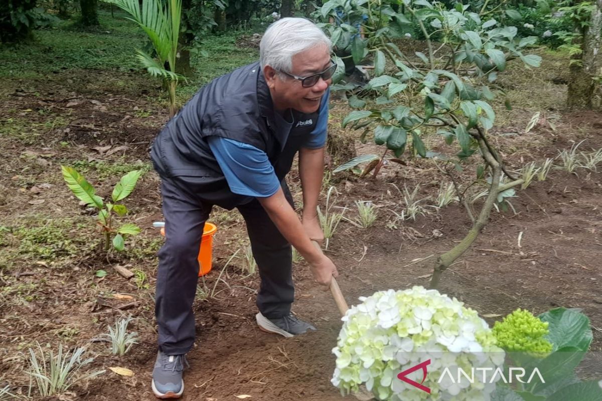 Bulog tanam 413 bibit pohon alpukat amankan hulu sungai Brantas Jatim