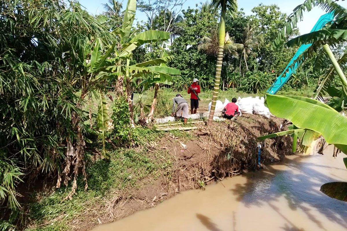 Tanggul Sungai Jakadenda jebol di Bulaksari, ini langkah BPBD Cilacap