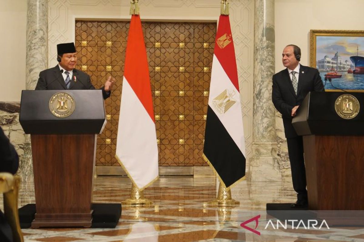 Prabowo apresiasi Mesir jadi hub pengiriman bantuan RI ke Palestina
